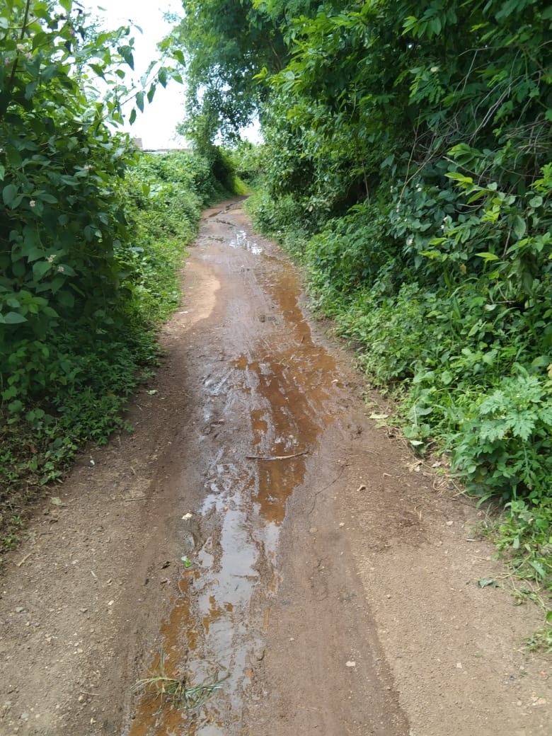 वासुदेव के घर से शीतला मंदिर तक दलदल मार्ग चलने के लायक नही है