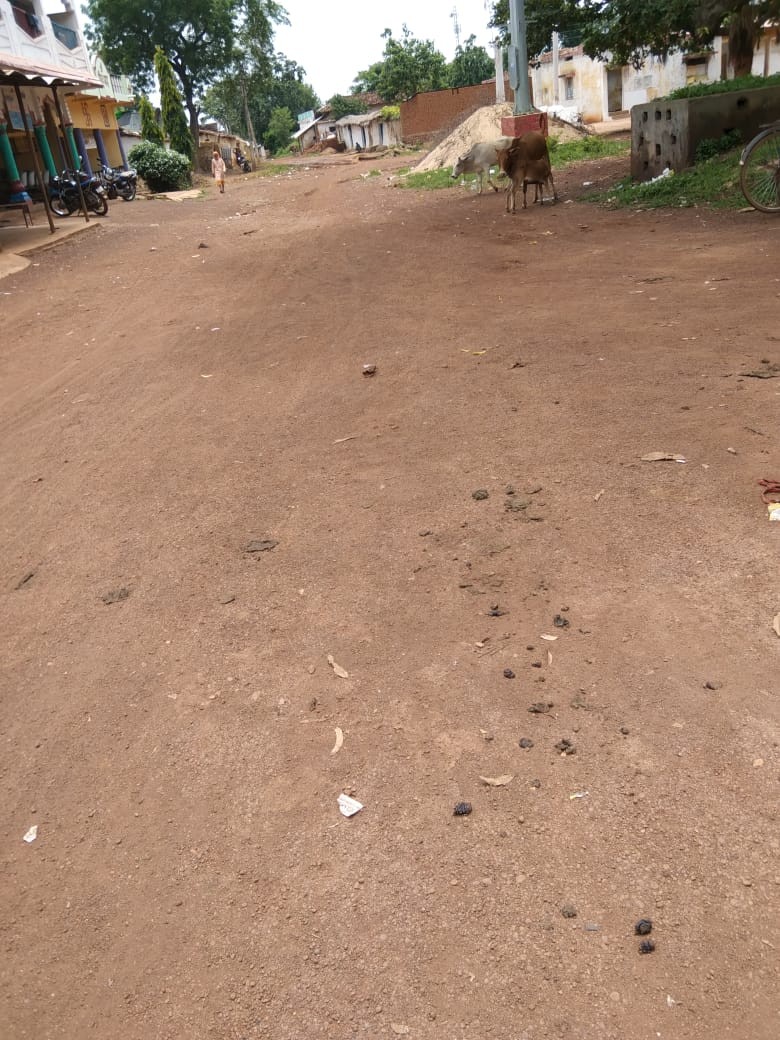बस स्टैंड से रौंदा पहुंच मार्ग दलदल रोड
