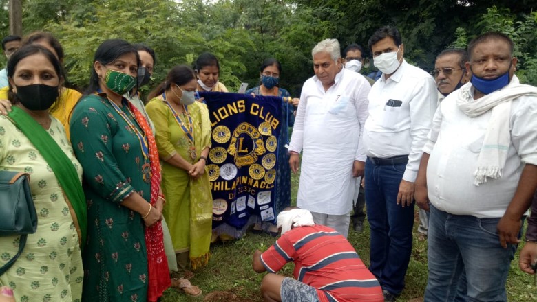 आयुर्वेदिक हॉस्पिटल परिसर में विधायक , महापौर ने लगाए क्लब के सदस्यों एवं डॉक्टरों के साथ छायदार पौधे  लायंस क्लब  पिनाकल