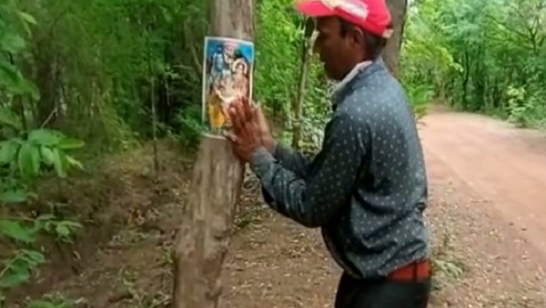 2000 पेड़ों को कटने से बचाने के लिए चल रहा है अनोखा आंदोलन !!