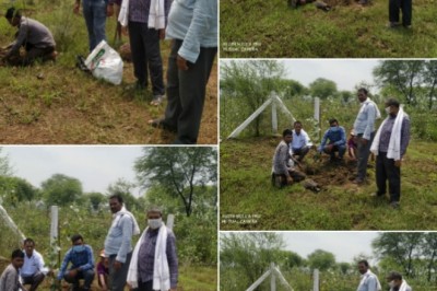 विकासखंड धमधा अंतर्गत ग्राम घौठा में वृक्षारोपण कर ,   दिया हरियाली का संदेश परंपरागत औजारों की पूजा कर मनाया गया  हरेली त्यौहार