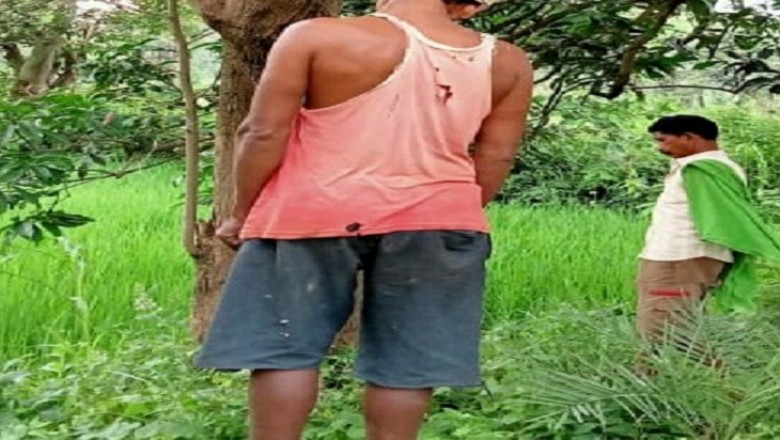 किसान ने फांसी लगाकर की खुदखुशी - खेत में लगे पेड़ से लटकता मिला शव, सुबह निकला था घर से; सुसाइड का कारण स्पष्ट नहीं