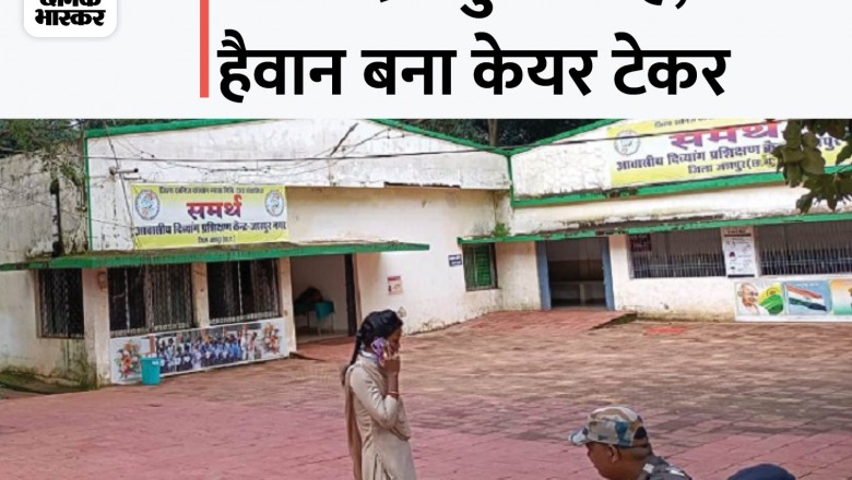 छत्तीसगढ़ के दिव्यांग केंद्र में बच्ची से रेप:नशे में धुत दो कर्मचारियों ने कई के कपड़े फाड़कर फेंके, नग्न हालत में जान बचाने भागते रहे; सभी बच्चे बोल और सुन नहीं सकते