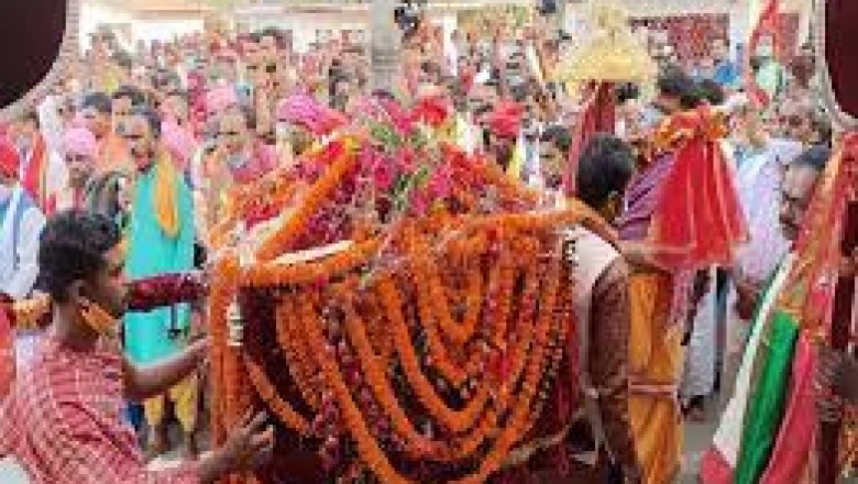 बस्तर दशहरा के लिए रवाना हुई मां दंतेश्वरी की डोली:जवानों ने हर्ष फायर कर दी सलामी; पूर्व मंत्री, MLA और कलेक्टर ने की पूजा अर्चना