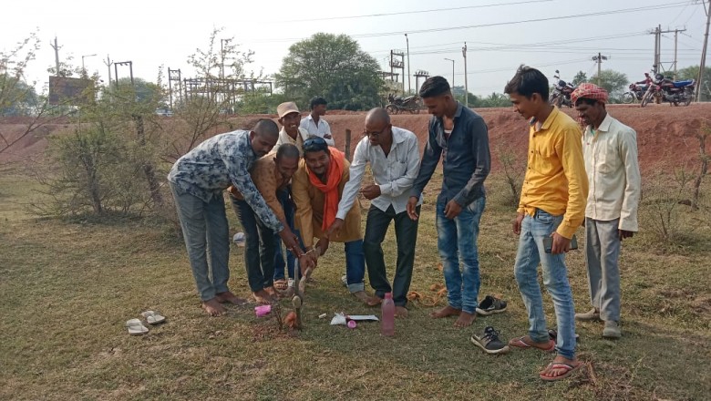 ग्राम पंचायत करेली में मनाया गया गोवर्धन पूजा