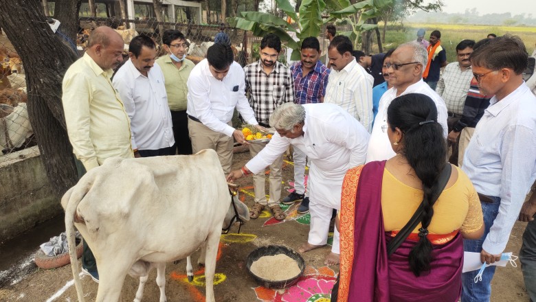 -पूरे उत्साह से की गोवर्धन पूजा-मनाया गौठान दिवस के रूप में