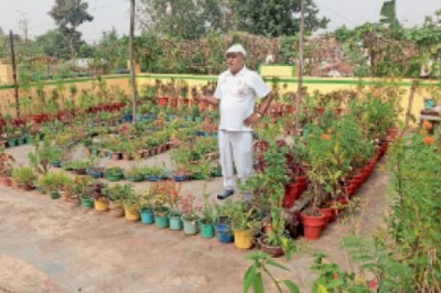 रिटायरमेंट के बाद घर की छत पर उगा रहे सब्जी, फूल-पौधे