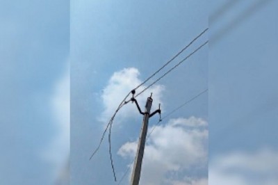 किसानों की सुविधा के लिए लगवाए गए हैं पोल, अब तक 60 हजार के एल्यूमीनियम तार चोरी