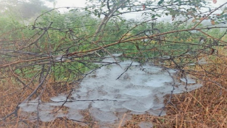 3 डिग्री तक गिरा न्यूनतम तापमान:ठंड बढ़ेगी क्योंकि उत्तर दिशा से शुष्क व ठंडी हवा आ रही, 72 घंटे में 4 डिग्री पारा गिरने के आसार