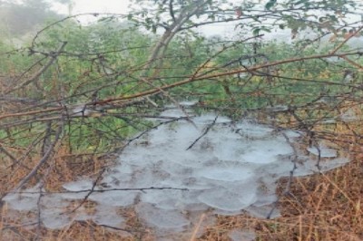 3 डिग्री तक गिरा न्यूनतम तापमान:ठंड बढ़ेगी क्योंकि उत्तर दिशा से शुष्क व ठंडी हवा आ रही, 72 घंटे में 4 डिग्री पारा गिरने के आसार
