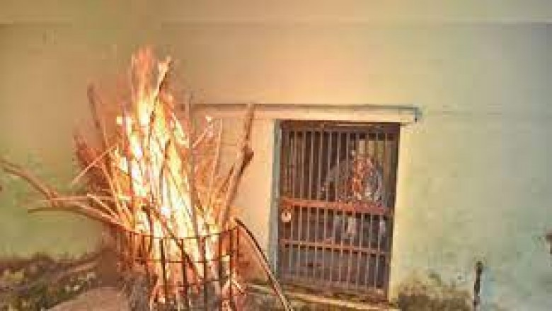 मौसम का हाल:व्हाइट टाइगर को ठंड से बचाने जतन, लगातार तीसरे दिन पारा सामान्य से 8 डिग्री कम