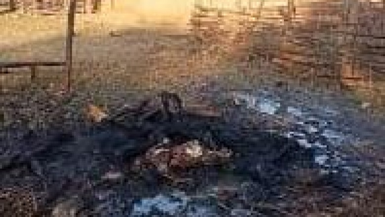झारखंड में भीड़तंत्र देखिए:लकड़ी काटने के आरोप में पूर्व नक्सली के घर में घुसी भीड़,