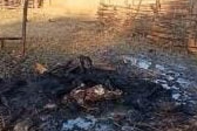 झारखंड में भीड़तंत्र देखिए:लकड़ी काटने के आरोप में पूर्व नक्सली के घर में घुसी भीड़,
