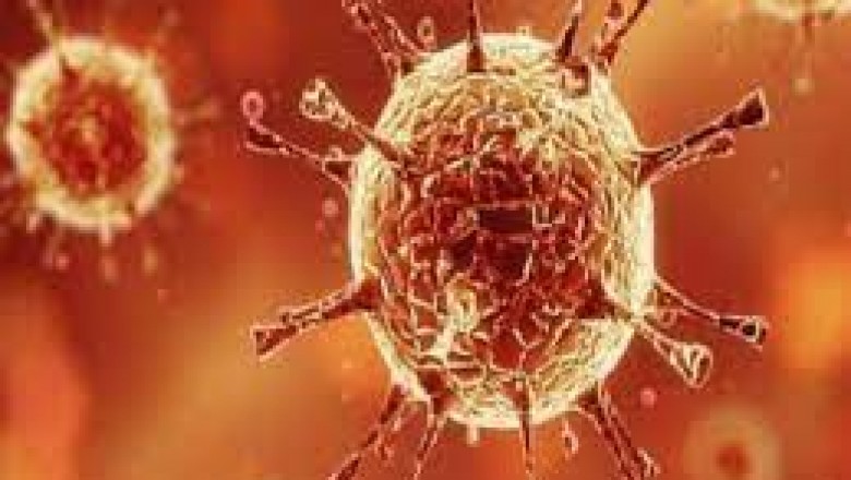रायपुर के बाद सबसे संक्रमित दुर्ग; 7 दिन में चौथे से दूसरे नंबर पर पहुंचे संक्रमण केस