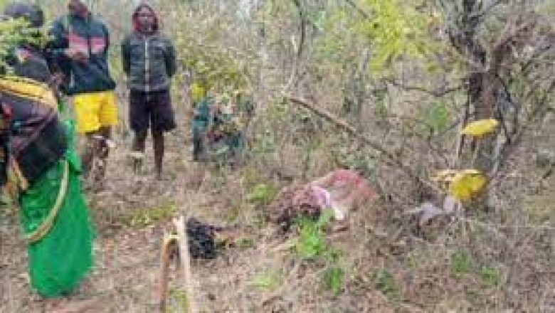 सूरजपुर में हाथी के हमले से युवती की मौत