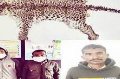 धमतरी में तेंदुए की खाल के साथ 3 युवकों को गिरफ्तार किया