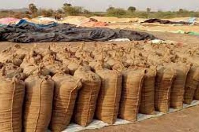 रायपुर : कस्टम मिलिंग के लिए धान के उठाव में तेजी