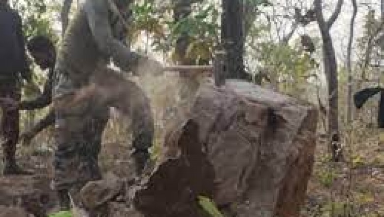 राजनांदगांव में जवानों ने नक्सलियों के बनाए स्मारक को ध्वस्त किया