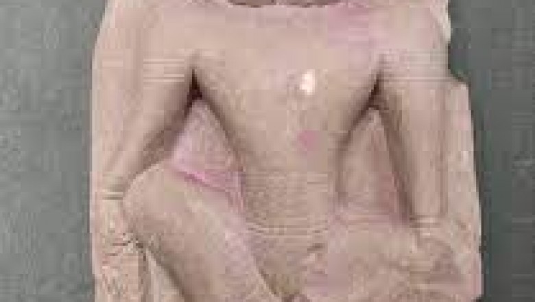 रायपुर जिले के कुम्हारी गांव के एक तालाब से भगवान नृसिंह की एक दुर्लभ प्रतिमा मिली