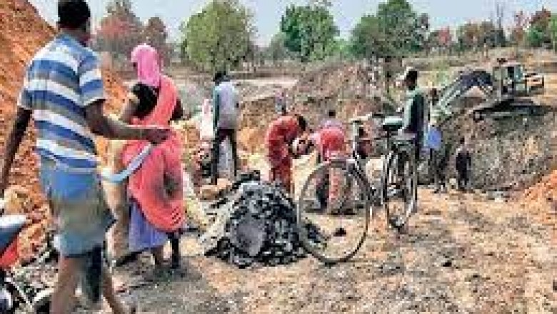 काेरबा-खुदाई के दाैरान मिट्टी के नीचे से काेयला निकल रहा,