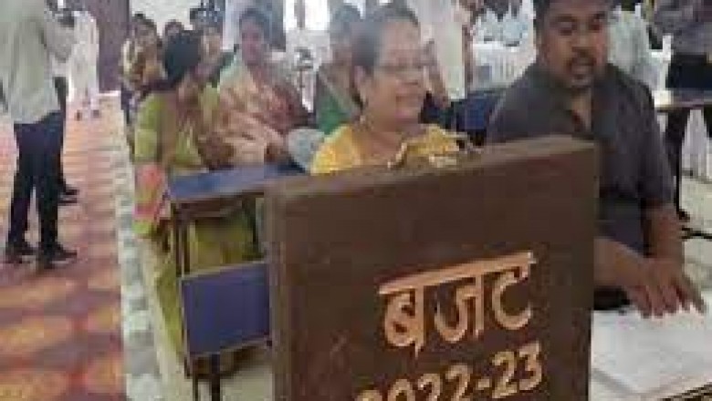रिसाली नगर निगम के महापौर शशि सिन्हा ने 110 करोड़ रुपए का बजट किया पेश