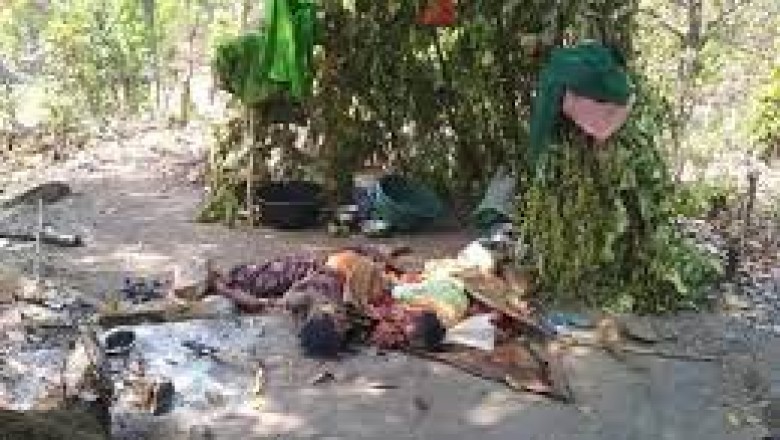 जंगल में ट्रिपल मर्डर! 10 साल की बच्ची और पिता को पत्थर से कुचल कर किसने मार डाला