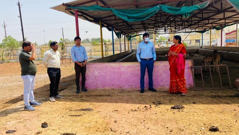 मछली पालन का महिलाएं करेंगी व्यवसाय, तलबिया एवं रोहू जैसे मछलियों का होगा उत्पादन, निगम आयुक्त प्रकाश सर्वे ने गौठान में तालाब विकास का लिया जायजा