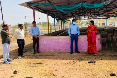 मछली पालन का महिलाएं करेंगी व्यवसाय, तलबिया एवं रोहू जैसे मछलियों का होगा उत्पादन, निगम आयुक्त प्रकाश सर्वे ने गौठान में तालाब विकास का लिया जायजा