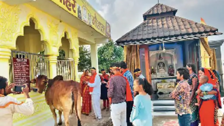 दिव्य प्रतीकों वाली गाय का नाम गोल्डन रिकॉर्ड बुक में है शामिल, इस कामधेनु पर चढ़ावे से बाकी गायों का निकलता है खर्च