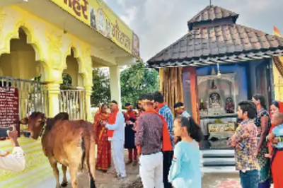 दिव्य प्रतीकों वाली गाय का नाम गोल्डन रिकॉर्ड बुक में है शामिल, इस कामधेनु पर चढ़ावे से बाकी गायों का निकलता है खर्च