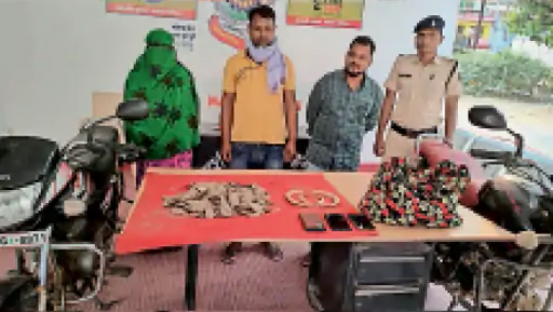 कार्रवाई : जंगली सूअर के दांत और पेंगोलिन की छाल के साथ महिला सहित 3 गिरफ्तार