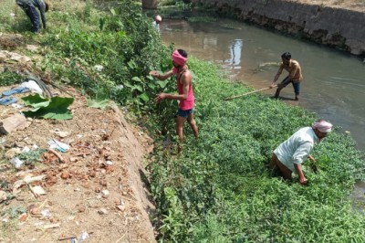 वार्डो में स्थित नालियों में कचरा भरने की शिकायत आ रही है