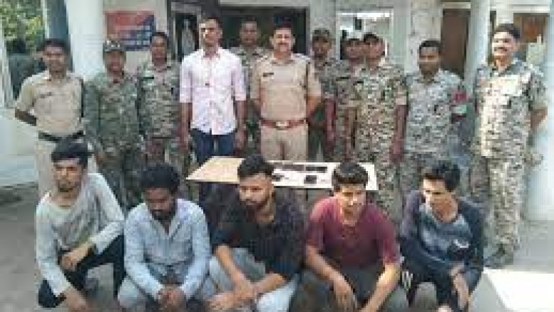 पिछले 19 दिनों में पुलिस ने आईपीएल क्रिकेट सट्टा में छापा मारकर 29 सटोरियों को पकड़ा है