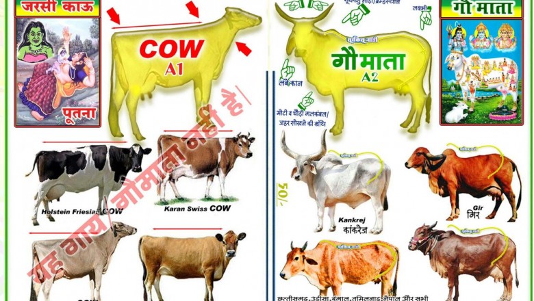 भारतीय नस्ल की देशी गोवंश ही है हमारी गौमाता : राज्यपाल सुश्री अनुसूईया उइके