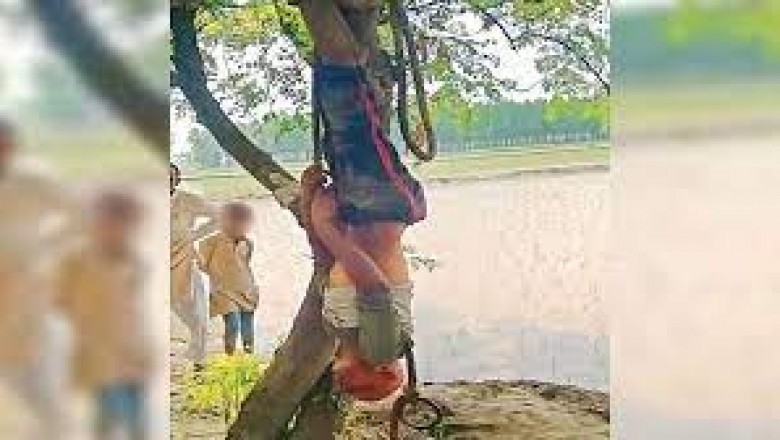 पेड़ से उल्टा लटकाकर पिटाई काचोरी के शक में खूब पीटा, गिड़गिड़ाता रहा दया करो मत मारो, लेकिन नहीं