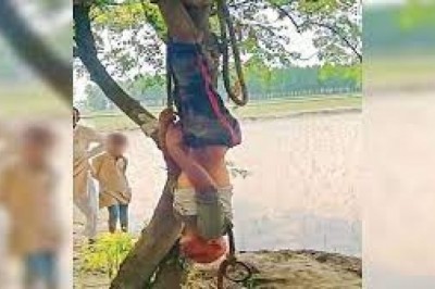 पेड़ से उल्टा लटकाकर पिटाई काचोरी के शक में खूब पीटा, गिड़गिड़ाता रहा दया करो मत मारो, लेकिन नहीं