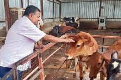 छत्तीसगढ़ की गोधन योजना ने कराई धन वर्षा : गोबर बेचकर लखपति बन गए प्रेम आर्य