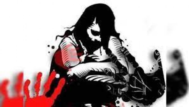 एक जज बोले- पत्नी से जबरन संबंध बनाने पर पति को सजा हो; दूसरे ने कहा- यह गैरकानूनी नहीं