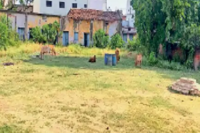 वाटर पार्क बना न रेस्टोरेंट, राम-सिया घाट में केवल दीवारों की रंगाई किए, शॉपिंग कॉम्प्लेक्स की ईंट तक नहीं रख सके