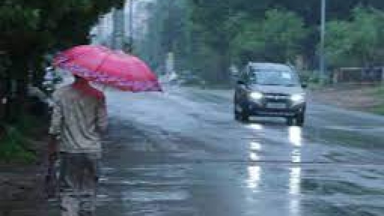 CG के 19 जिलों में अंधड़ का अलर्ट : तेज बारिश कई पेड़ सड़क पर गिरे,दुर्ग में पारा 45 के पार