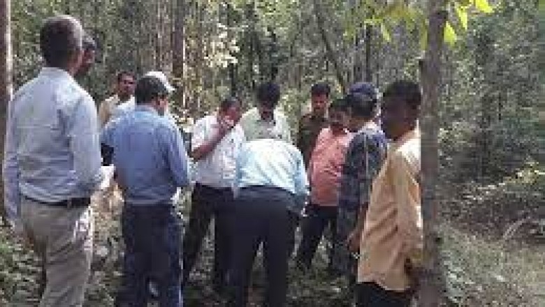 NGT ने नवापारा में सोने की खोज पर लगाई रोक;वन विभाग ने कहा था-इससे जंगल को नुकसान