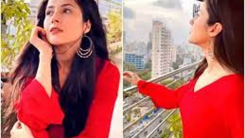 सोशल मीडिया से:शहनाज गिल ने पाकिस्तानी सॉन्ग पसूरी पर किया डांस, फैन्स बोले- आंखों में दर्द साफ दिखाई दे रहा है