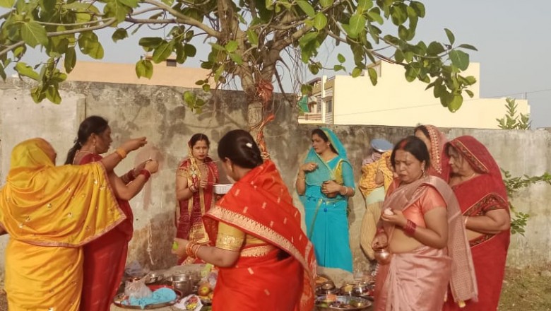 वट सावित्री: पति की दीर्घायु के लिए महिलाओं ने रखा व्रत, बरगद पेड़ के नीचे की पूजा-अर्चना