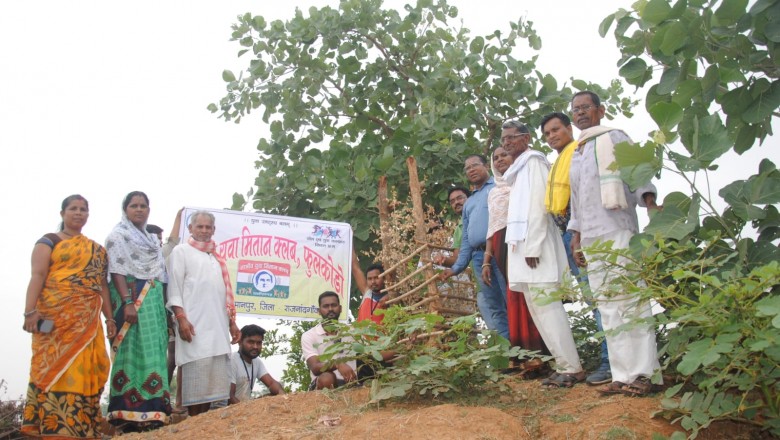 विश्व पर्यावरण दिवस के अवसर पर कलेक्टर, एसपी एवं जिला पंचायत सीईओ ने ग्राम बरगा में  किया पौधरोपण
