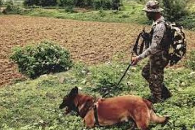 डॉग स्क्वॉड की टीम ने ढूंढी कमांड IED; जवानों ने नक्सलियों के मंसूबे को किया नाकाम