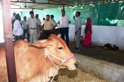 अमलीडीह गौठान महिला समूह के लिए बना आमदनी अर्जित करने का सशक्त माध्यम : - महिला समूह ने दिखाया दम, अब आर्थिक तंगी का नहीं होगा कोई गम