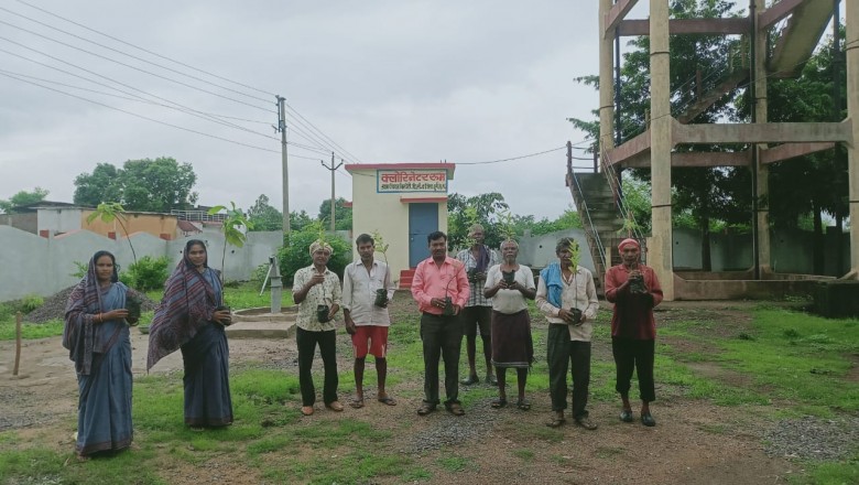 दुर्ग : ग्राम पंचायत चिरपोटी में वृक्षारोपण का कार्य संपन्न