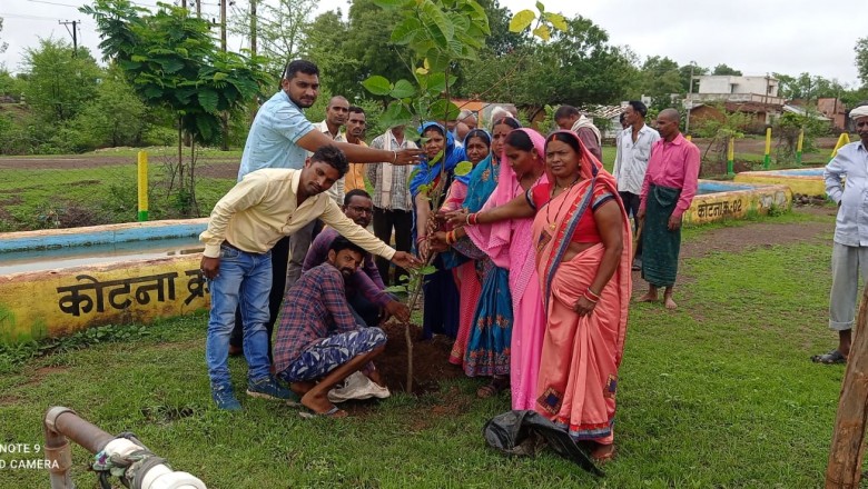 धमधा : ग्राम पंचायत गोरपा  में हुआ वृक्षारोपण का कार्यक्रम