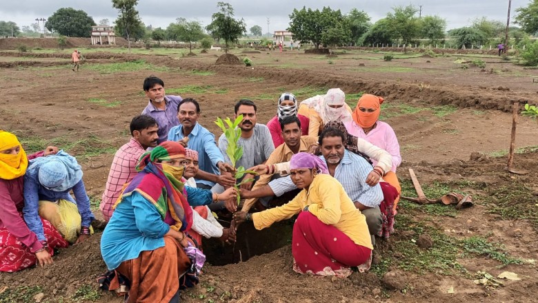 धमधा : ग्राम पंचायत मुरमुंदा  में हुआ वृक्षारोपण का कार्यक्रम