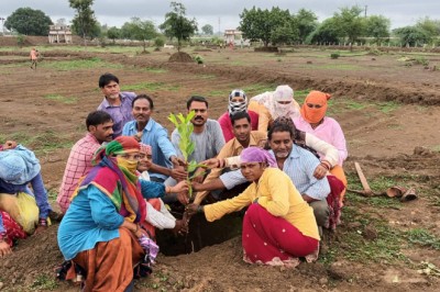धमधा : ग्राम पंचायत मुरमुंदा  में हुआ वृक्षारोपण का कार्यक्रम